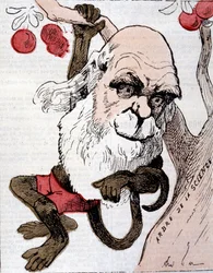 Karikatura Charlese Roberta Darwina (1809 - 1882) v ""La Lune""