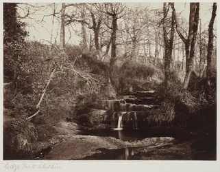 Edge Park, Cheshire, asi 1865 (albumenový tisk ze skleněného negativu)