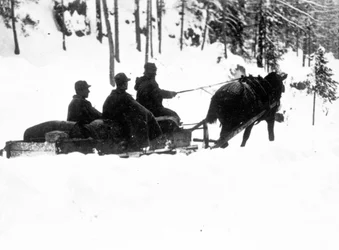 První světová válka, Carso Front: Italští alpští lovci (alpino nebo alpini) nesoucí jídlo na saních