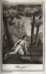 Narcisse uvažuje o své reflexi (Narciso) Rytina z roku 1819 v „Lettres a Emilie sur la mythologie““ od Charlese Alberta Demoustiera (1760-1801). Soukromá sbírka.