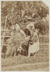Ruské rolnice, asi 1855 (slaný tisk z negativu na voskovaném papíře)
