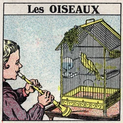 Účinky hudby: zvuk flétny nutí zpívat ptáka v kleci. Anonymní ilustrace z roku 1925. Soukromá sbírka.