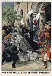 Svatbu napadl roj včel. Rytina v „“Le Petite Journal““, dne 28.7.1912. Soukromá sbírka.