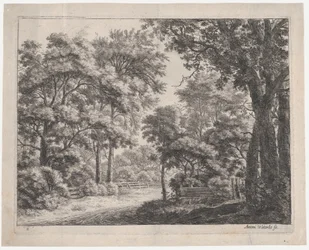 The Trimmed Groves, 17. století.