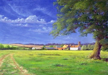 Domácí pole, 2004