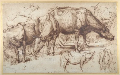 Dobytek na pastvě, cca 1618-20 (pero a inkoust s mytím na papíře)