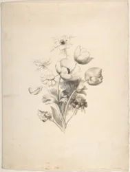 květinový design