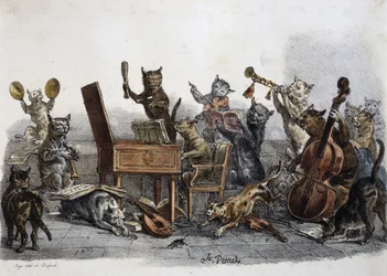 Amatérský koncert, karikatura koček hrajících na hudební nástroje, rytina Carle Vernet (1758-1836), Francie
