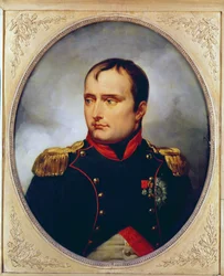 Portrét Napoleona I. (1769-1821), 1815