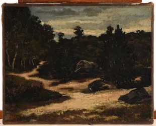 Francouzsky: Chemin sableux en forêt de Fontainebleau
