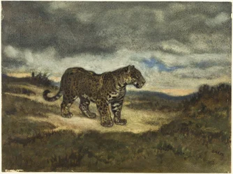 Stojící jaguár