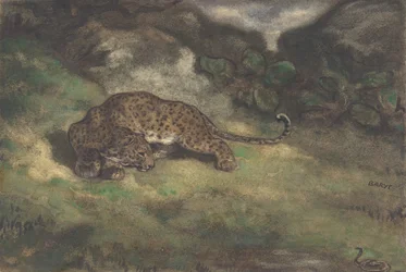 Leopard a had, 1810-75.