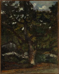 Pozemek v lese Fontainebleau
