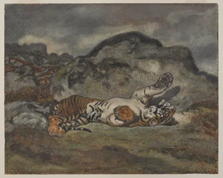 Rolling Tiger, cca 1840 (wc na papíře)