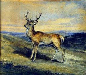 Jelen. Obraz Antoine Louis Barye