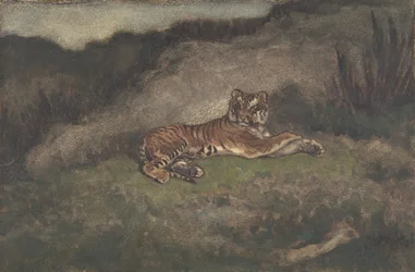 Tygr, 1810-75.