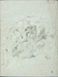 Hlava ze skupiny Laocoon