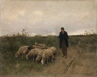 Pastýř a ovce
