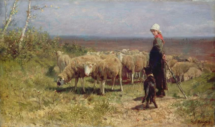 Pastýřka (olej na plátně)