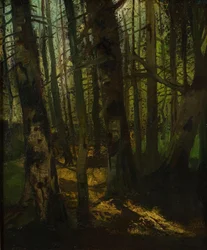 Mýcení lesa