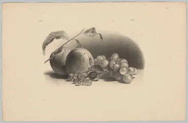 Jablka, bobule, ostružiny a hrozny Flower and Fruit Studies (...) 3. epizoda (název série)
