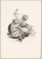 Květiny, jablka, hrušky, granátové jablko a ostružiny Flower and Fruit Studies (...) 10. epizoda (název série)