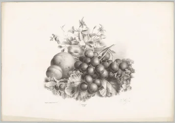Květiny, broskev, nektarinka, hrozny a ostružiny Flower and Fruit Studies (...) 10. epizoda (název série)