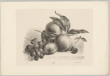 Hrozny, švestky, broskve a třešně Flower and Fruit Studies (...) 10. epizoda (název série)