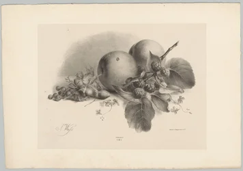 Broskve, bobule, lískové ořechy a ostružiny Flower and Fruit Studies (...) 10. epizoda (název série)