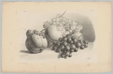 Dýně, bobule, hrozny a broskve Flower and Fruit Studies (...) 3. epizoda (název série)