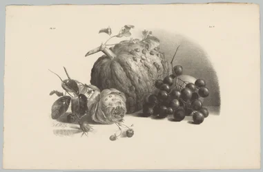 Dýně, hrozny, růže a jahody Flower and Fruit Studies (...) 3. epizoda (název série)