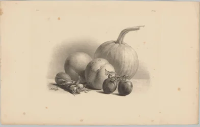 Dýně, broskve, meruňky, švestky a lískové ořechy Flower and Fruit Studies (...) 3. epizoda (název série)