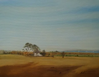 Dům a pole, 2016