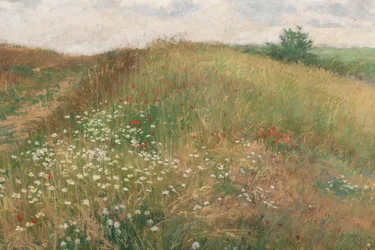 Léto, 1897.
