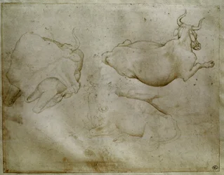 Dvě krávy a jalovec. Kresba Antonia di Puccia Pisano dit Pisanello (1395-1455). Svitek, kovový hrot. Výška: 17,6 cm. Louvre, Kabinet medailí
