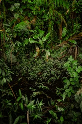 Mantiqueira XLIV, 2015 (digitální fotografie)