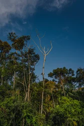 Mantiqueira XLVI, 2021 (foto)