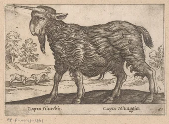 Koza s jedním rohem Capra Silvestris / Capra Selvaggia (název na objektu) Dieren en fablewezens (název série) Nová kolekce nejkurióznějších zvířat světa (název série)