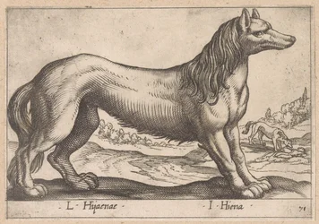 hyena L Hijanae/ I Hyena (název na objektu) Dieren en fabelwezens (název série) Nova raccolta de li animali piu curiosi del mondo (název série)