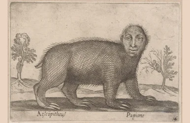 Lenochod Aescopitheus/ Papione (název na objektu) Zvířata a mýtická stvoření (název série) Nova raccolta de li animali piu curiosi del mondo (název série)
