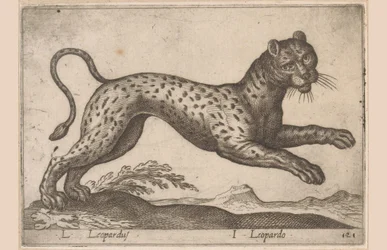 Leopard L Leopardus/ I Leopardo (titul na objektu) Dieren en fablewezens (název série) Nová kolekce nejkurióznějších zvířat světa (název série)