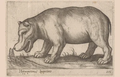Hroch Hroch/Ippopotamo (název na objektu) Zvířata a mýtická stvoření (název série) Nova raccolta de li animali piu curiosi del mondo (název série)