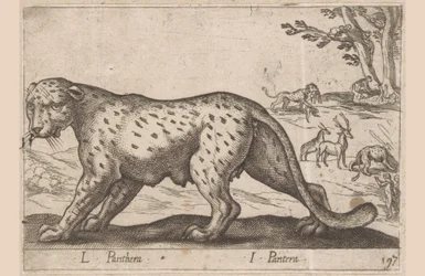 Panter L Panthera/ I Panthera (název na objektu) Dieren en fablewezens (název série) Nová kolekce nejkurióznějších zvířat světa (název série)