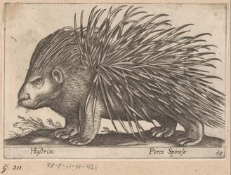 Dikobraz Hystrix/ Porco Spinoso (název na objektu) Zvířata a mýtická stvoření (název série) Nova raccolta de li animali piu curiosi del mondo (název série)