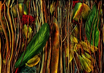 Anderswelten-no.79-4.strange wood, 2019 (foto)