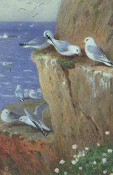 Rackové