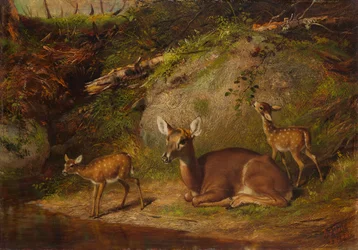 Laň a dva kolouši, 1882.
