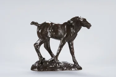 Colt (bronz)
