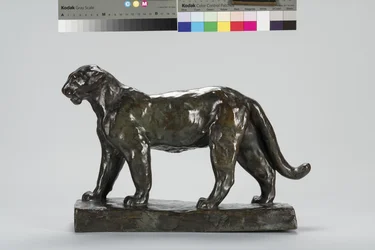 Chůze leoparda
