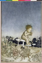 Peter Pan je Fairies Orchestra, ilustrace od Petera Pana v Kensington Gardens, od J. M. Barrieho, 1806 (pero a inkoust & wc na papíře)